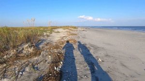 Shelling after Hurricane Sally... nice sea treasures