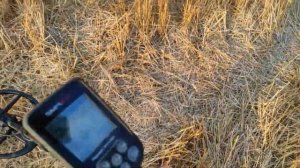 Катушка для симплекса  sp 35. Обзор - открываю коробку, и  первое впечатление и сразу тест.