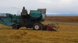 Уборка овса урожай 2017. Комбайн Енисей.