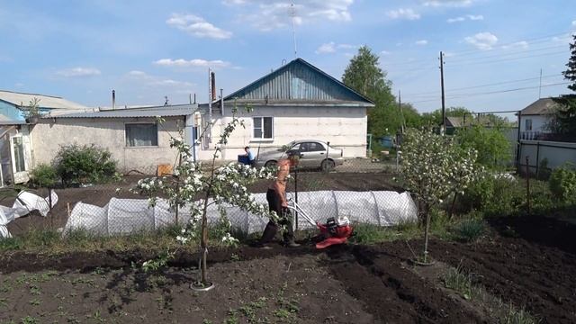 ВСПАШКА ОГОРОДА МОТОБЛОКОМ КАМА МБ 75А смотреть онлайн