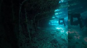 Дайвинг-сафари 2018