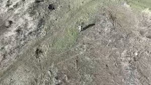 Дрон взял всушника в плен.