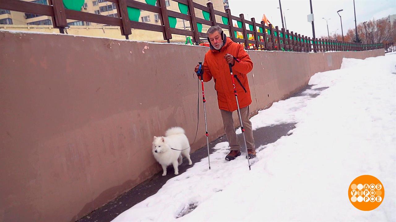 Гололед? Палки вам в руки! Доброе утро. Фрагмент выпуска от 01.02.2024 смотреть онлайн