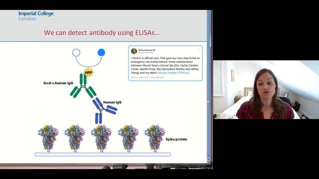 SARS CoV2 immunology смотреть онлайн