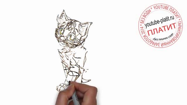 Нарисовать кошку видео Как нарисовать полосатую кошку поэтапно карандашом за 34 секунды смотреть онлайн