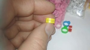 Именные кольца ДЛЯ ГОЛУБЕЙ для Евгения Евгеньевича из г.Москва.