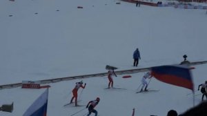 Кубок мира по лыжным гонкам 2014-15. Рыбинск (Демино).