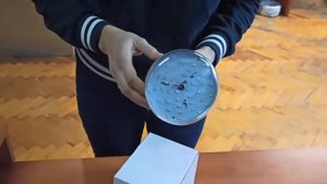 Фитолампа Е27 16 Вт Биколор BetterLed