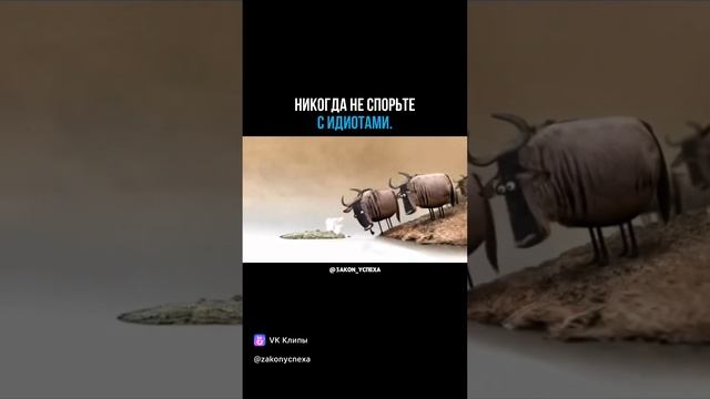 Дурака не убедить смотреть онлайн