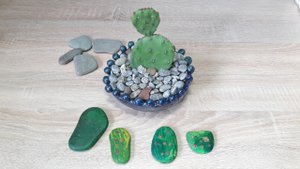 Раскраска камней под кактус