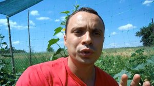 СДЕЛАЙ ТАК И ЗАБУДЬ О ТЛЕ! КОМПЛЕКСНАЯ БОРЬБА С ТЛЕЙ БЕЗ ХИМИИ