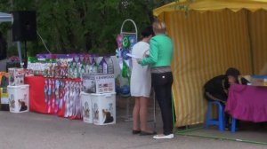 Американский кокер спаниель