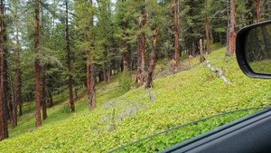 Автопутешествие.  Республика Алтай.  Часть третья заключительная.