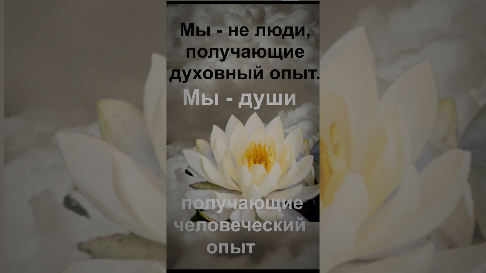 Мы - души, получающие человеческий опыт.mp4