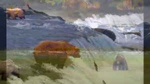 Дикая природа Аляски.