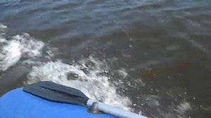 Стелс 275 АЭРО + сузуки 2,5