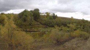 ОХОТА НА УТКУ С ПОДХОДА.МНОГО УТОК.МР-155.