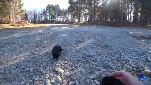 Рыбалка на р.Иркут. Закрыли водометный сезон.