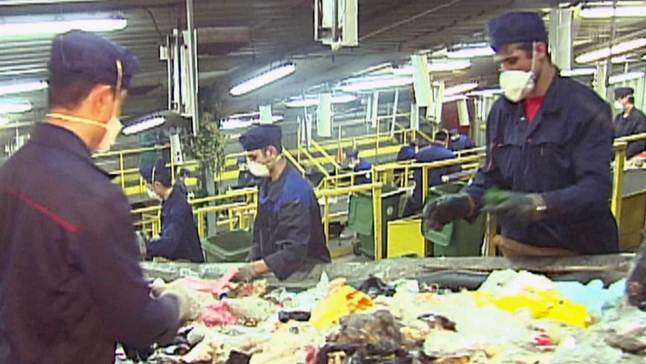 В рамках Года экологии в России стартовал проект "Чистая страна"