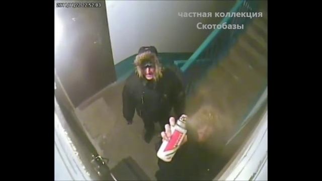 Скрытая камера  Агрессивные соседи