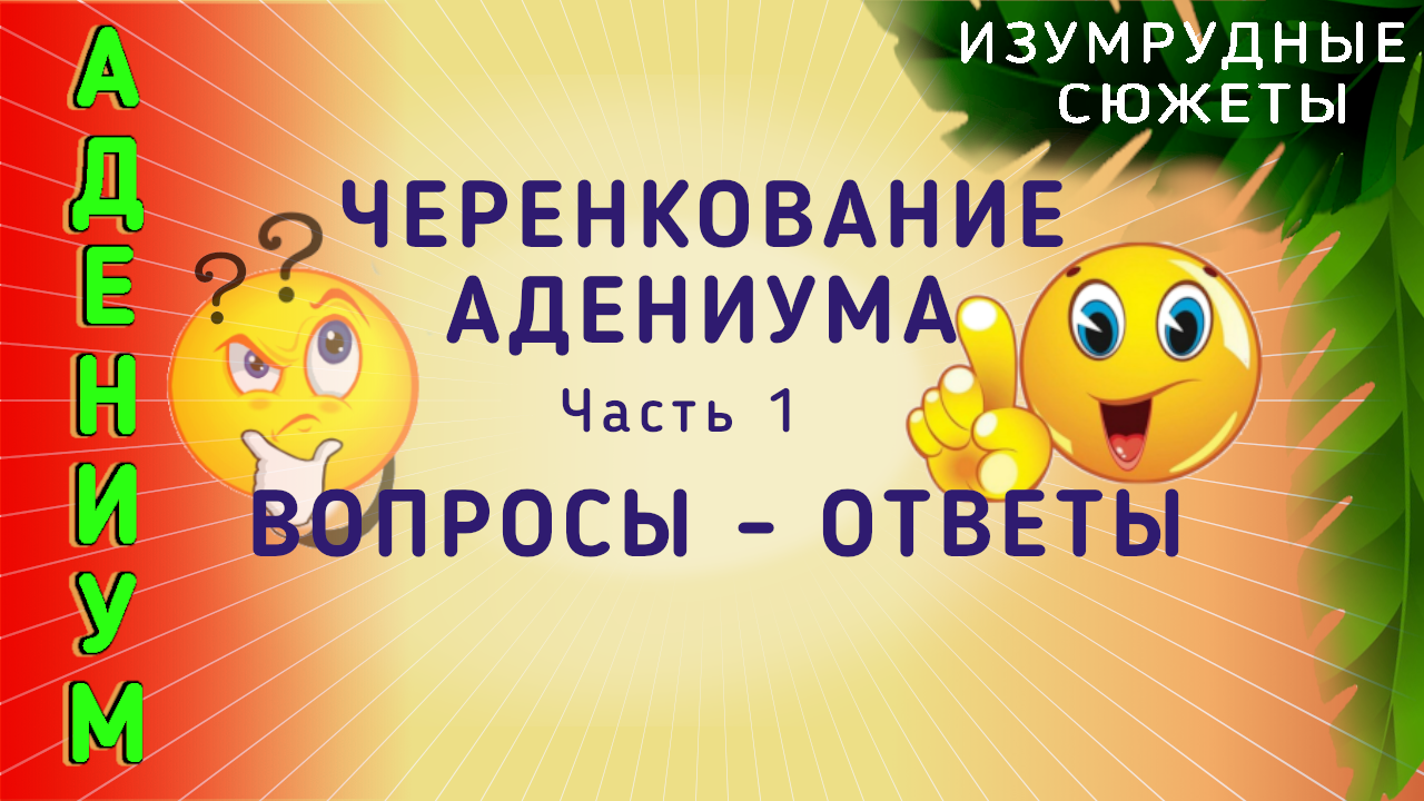 Адениум. Черенкование| Укоренение Адениума. 1 Часть. Вопросы И Ответы.