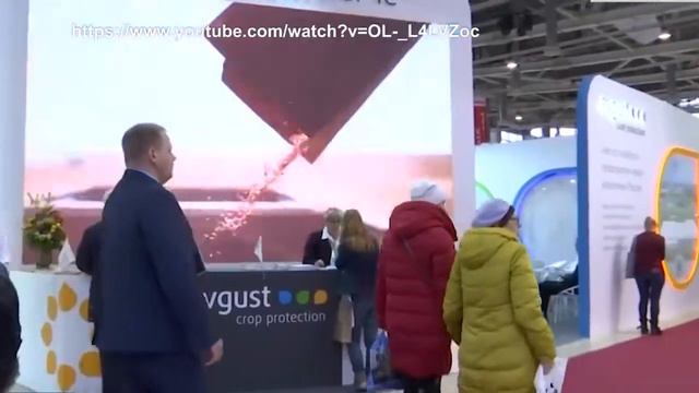 Пермяки участвуют в Российской агропромышленной выставке смотреть онлайн