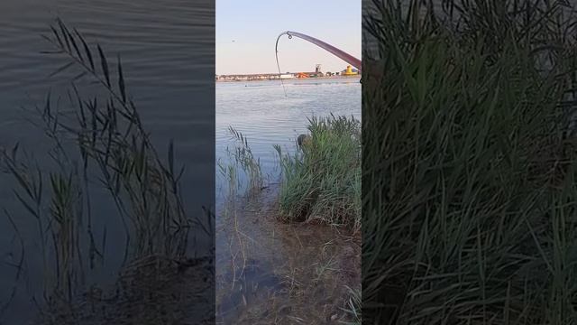 Рыбалка в Новороссийске, около пляжа Алексено. смотреть онлайн