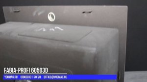 Кухонная мойка FABIA PROFI 60503D сатин декор