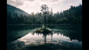 Вивальди для детей . Классическая музыка для детей и родителей . Слушать классическую музыку