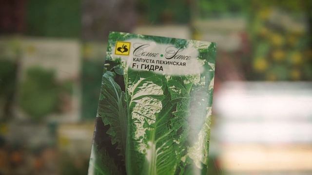 Капуста | Лучшие гибриды
