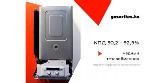 Protherm Рысь (Lynx)