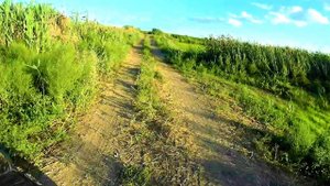 Мото-путешествие по Астраханской степи.Honda Dio af 35