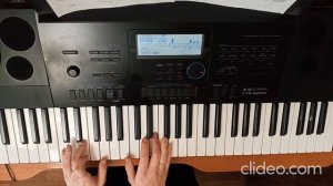 Кавер на песню рок-группы Rammstein «Mutter» на синтезаторе