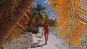 AlimkhanOV A.  - Oh Don't Lose Your Heart Tonight (Silent Circle Cover-Remix)