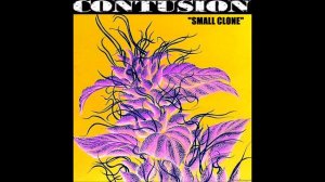 Contusion - Gasoline* (cover) Demo