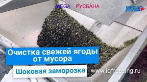 Воздушный сепаратор, очиститель или веялка, для свежей или замороженной ягоды