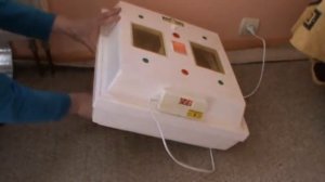 Как вывести цыплят в инкубаторе- Инкубация куриных яиц-пошагово