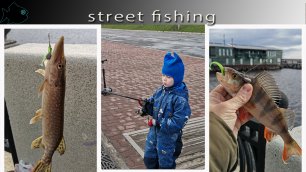 вести с Набережной Северной Двины на 25.05.Street Fishing.mp4