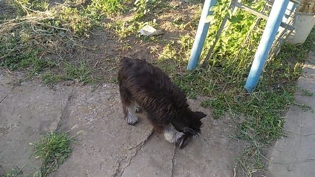 Николька_21