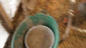 содержание кур зимой