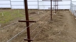 Двухплоскостная шпалера для винограда своими руками. Виноградник из металлических труб.