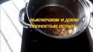 Сосновые шишки. Варенье из сосновых шишек! Из шишек сосны Jam of pine cones