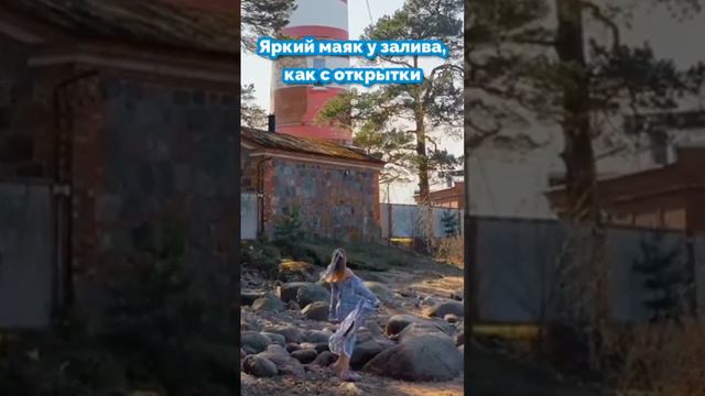 Шесть необычных летних локаций в окрестностях Петербурга #интересноеместо