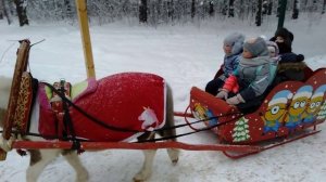 Катание на санях в лесу.
