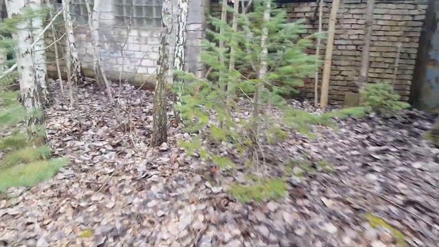 ГСВГ. Altes Lager в/ч42030. От арки к цеху N7,котельная,АЗС 23.02.2023 смотреть онлайн