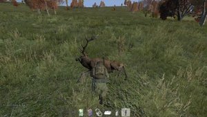 Как готовить мясо в DayZ