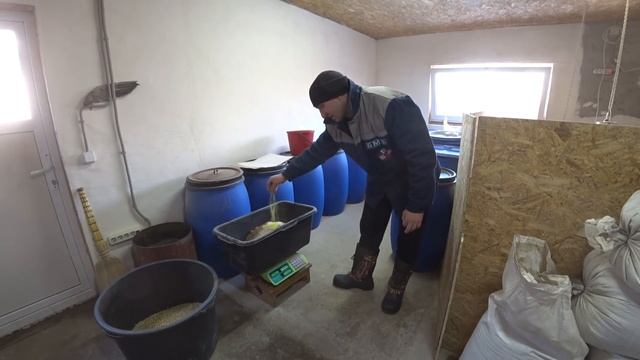 Готовим комбикорм для гусей и кур несушек//Рацион гусей в плем.период