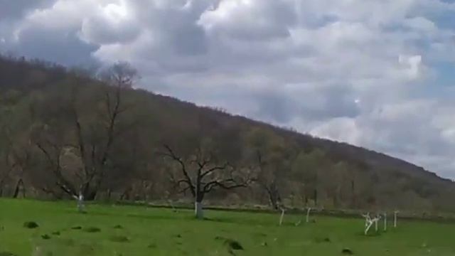 Вот такие друзья мужа/Истории Любви. смотреть онлайн