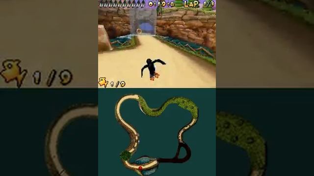 Puffins Island Adventure: Ring Race