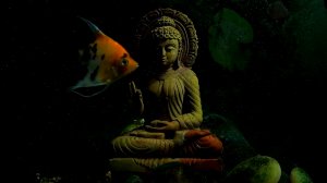 Будда Вода (Buddha bar lounge chillout  relax music  remix meditation)